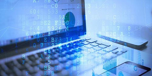 軟件開(kāi)發(fā)培訓(xùn) 從入門到職業(yè)發(fā)展的完整指南