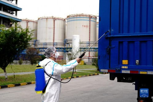 上海糧油食品企業全力保障生產與運輸